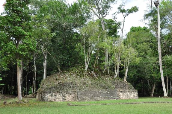 Antiga construção tomada pelas árvores nas ruínas mayas de Caracol, em Belize, quase na fronteira com a Guatemala